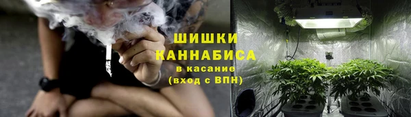 стаф Абаза