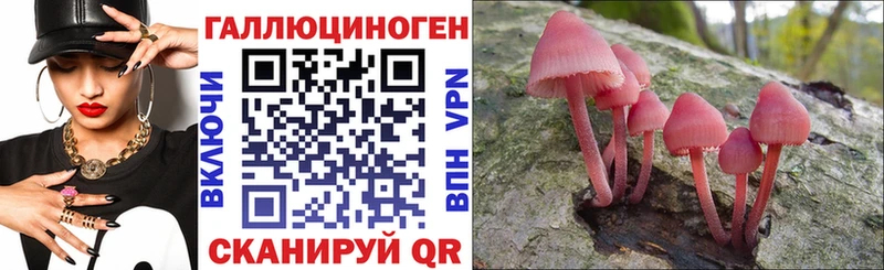 Галлюциногенные грибы прущие грибы  где купить наркотик  ОМГ ОМГ ссылка  площадка формула  Берёзовка 